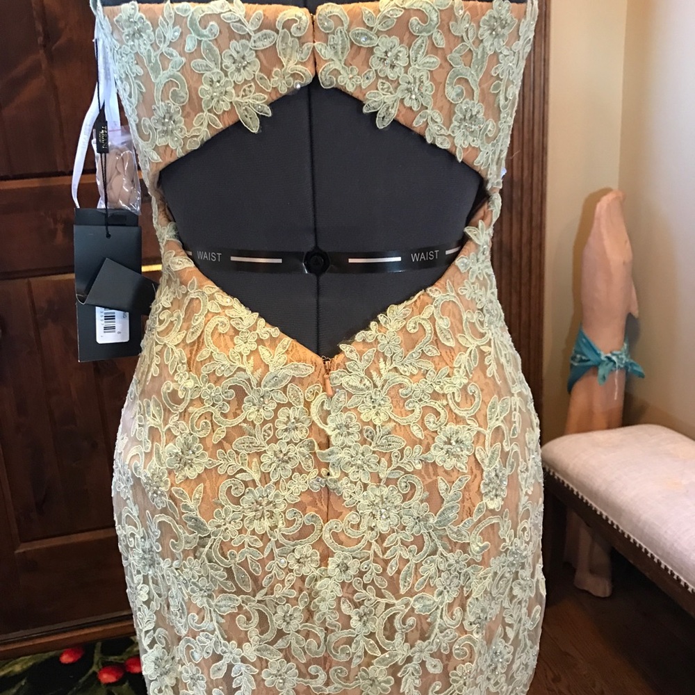 TERANI Lace Illusion Dress NWT - Picture 6 of 7